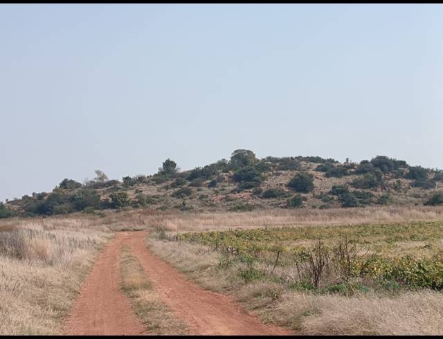 506.20HA FARM FOR SALE IN BLESBOKLAAGTE